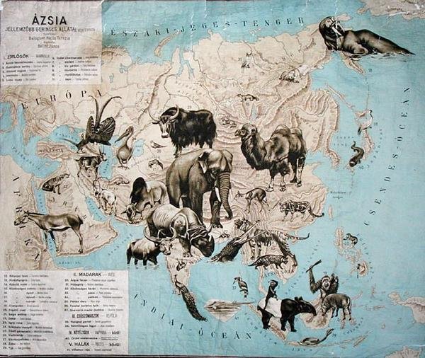 Mapa zvířat v Asii a na Dálném východě od Janos Balint