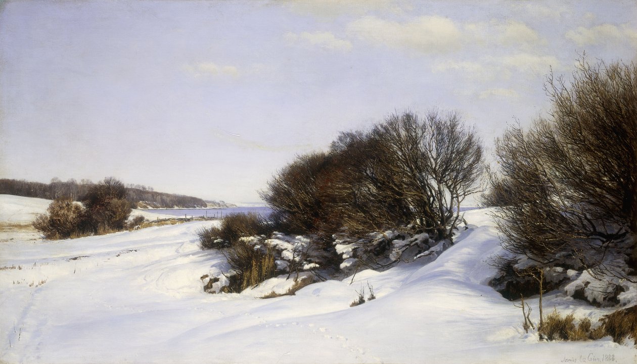 Zima u moře, 1888 od Janus La Cour