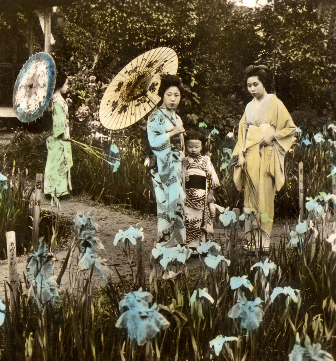 Procházka v Iris Garden, cca 1900 (foto alba) od Japanese Photographer