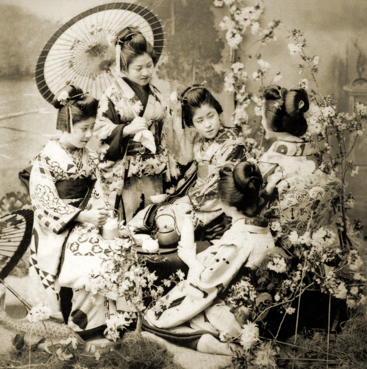 Mezi Cherry Blossoms, cca 1900 (foto alba) od Japanese Photographer