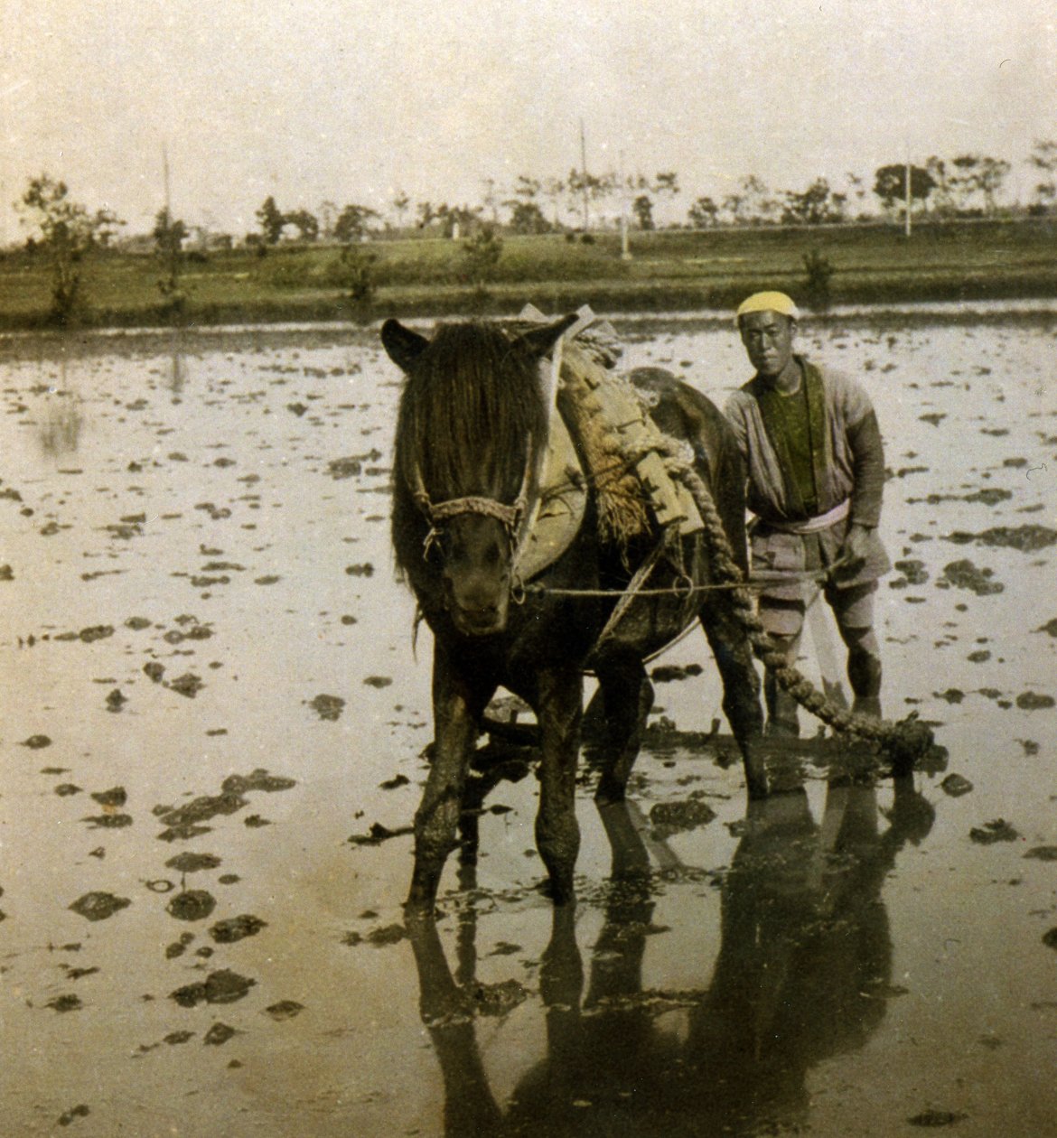Orba rýžového pole, cca 1900 (foto alba) od Japanese Photographer