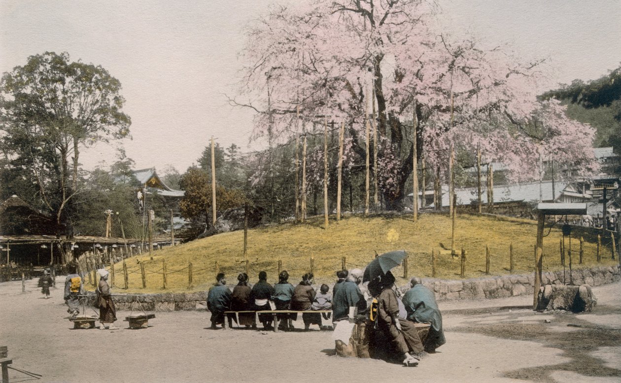 Slavná třešeň v Maruyama, Kyoto (ručně kolorovaná fotografie) od Japanese Photographer