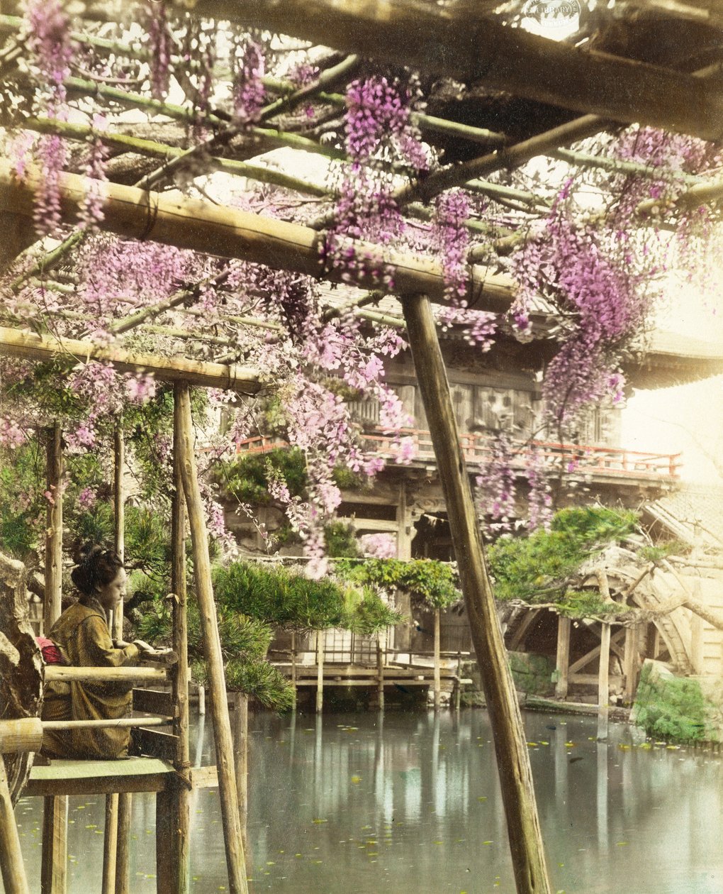 Wisteria květu, Kameido Temple zahrady, Tokyo, brzy 1890 (foto ruční barevný) (viz také 172942) od Japanese Photographer
