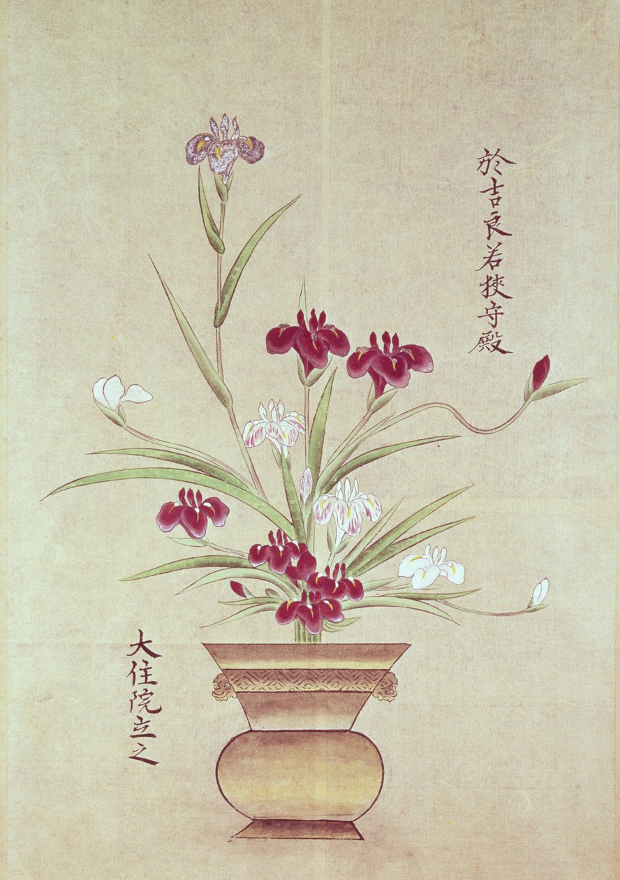 Orchideje od Japanese School