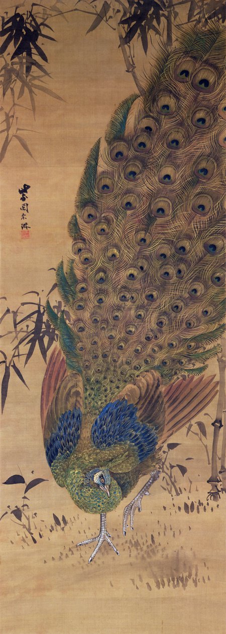 Páv a bambus (inkoust a barvy na hedvábí) od Japanese School