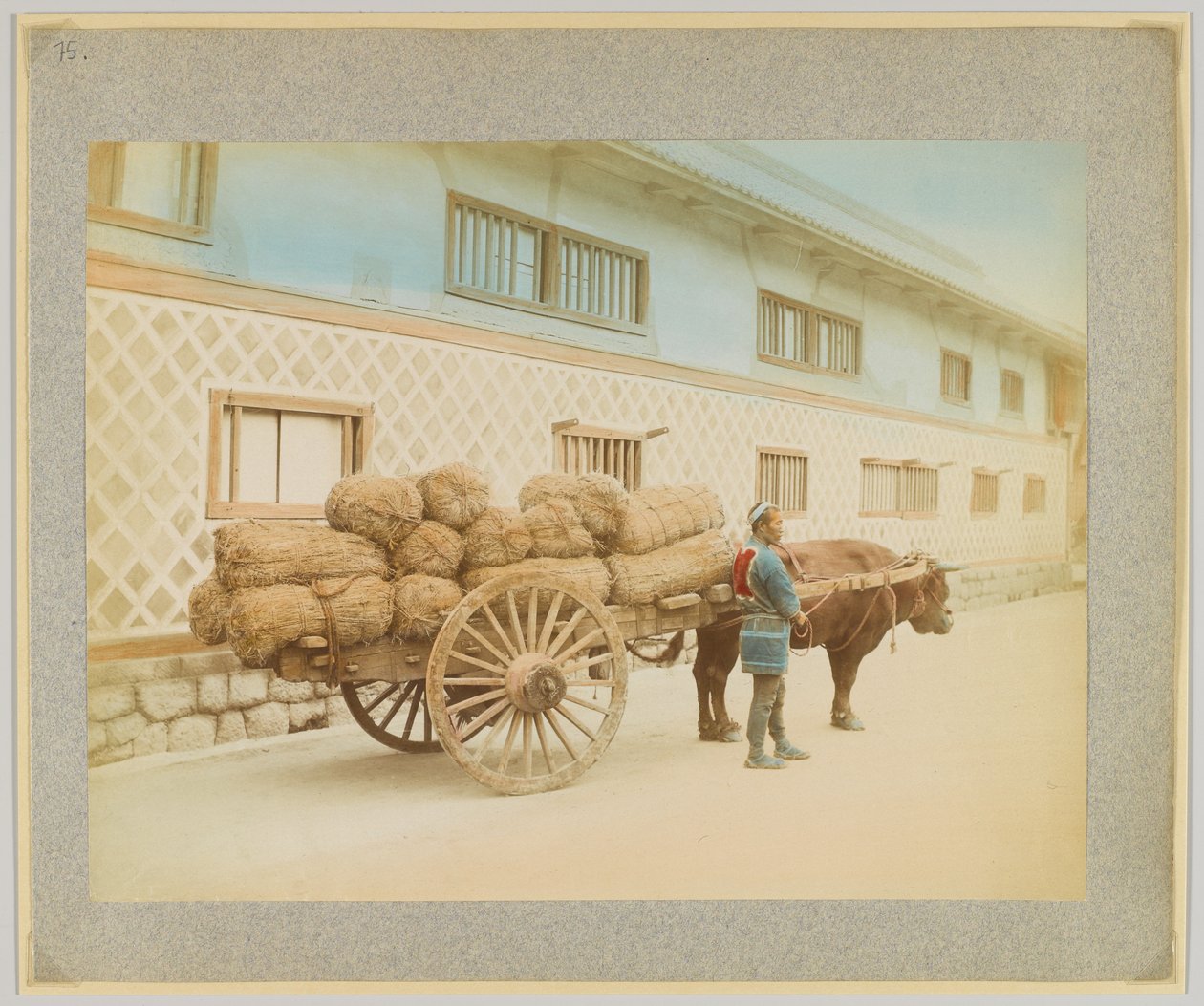 Muž s volem a povozem, Japonsko (ručně kolorovaná černobílá fotografie) od Japanese Photographer