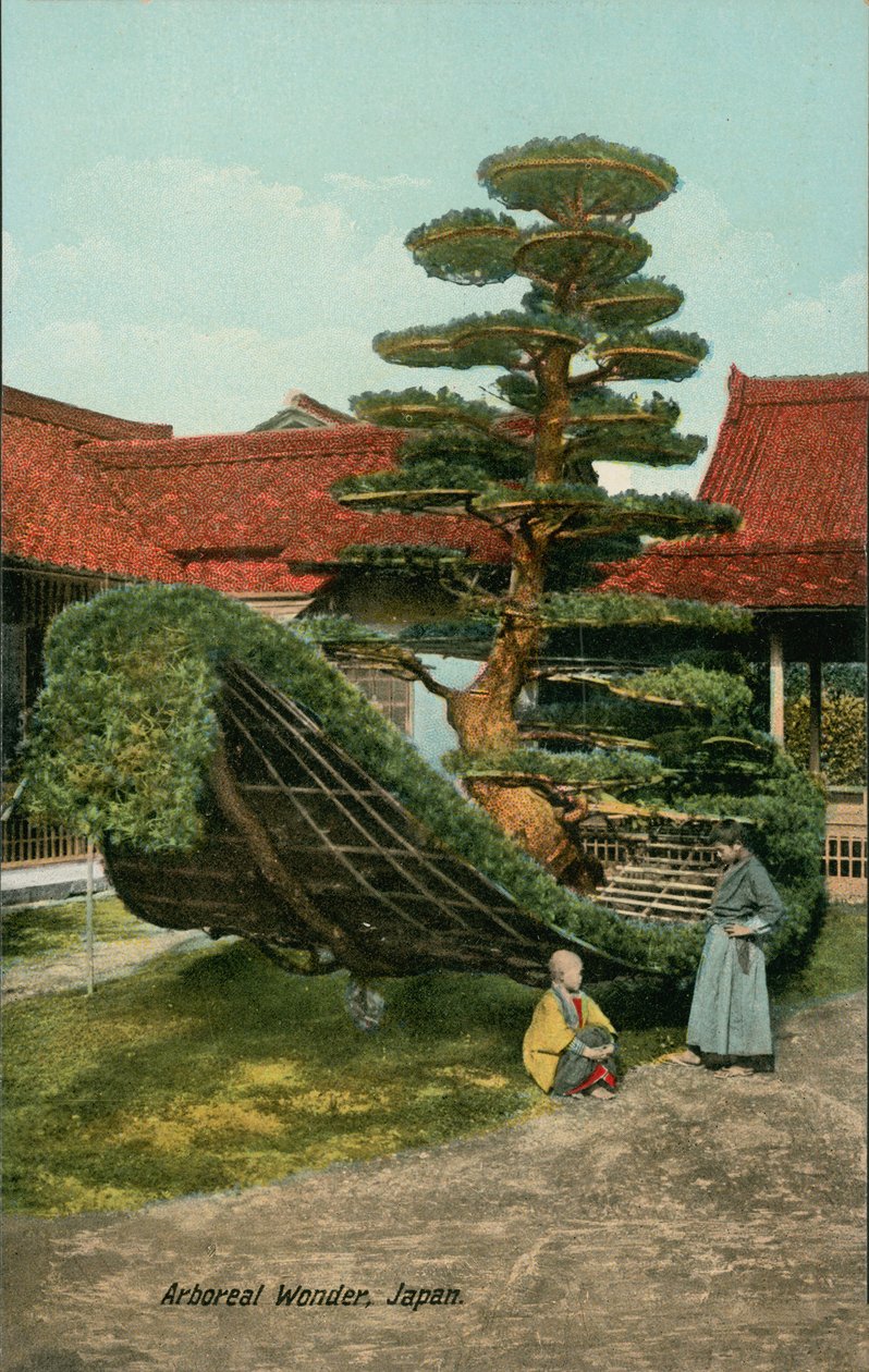 od Japanese Photographer