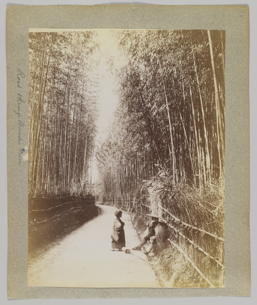 Cesta přes Bamboo Grove, Japonsko (černobílá fotografie) od Japanese Photographer