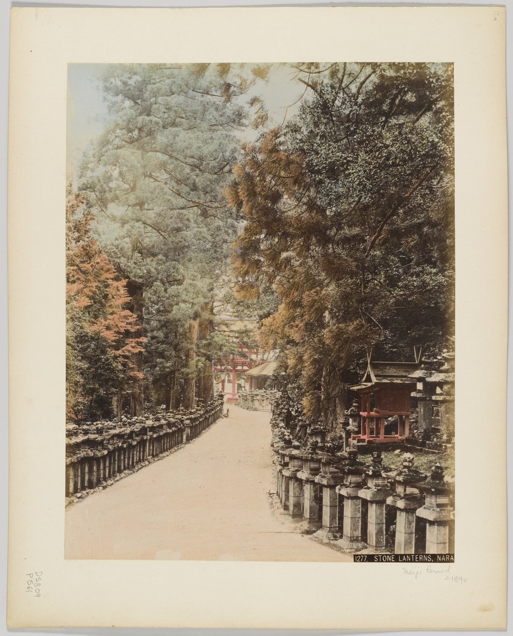 Kamenné lucerny, Nara, Japonsko, cca 1890 (ručně kolorovaná černobílá fotografie) od Japanese Photographer