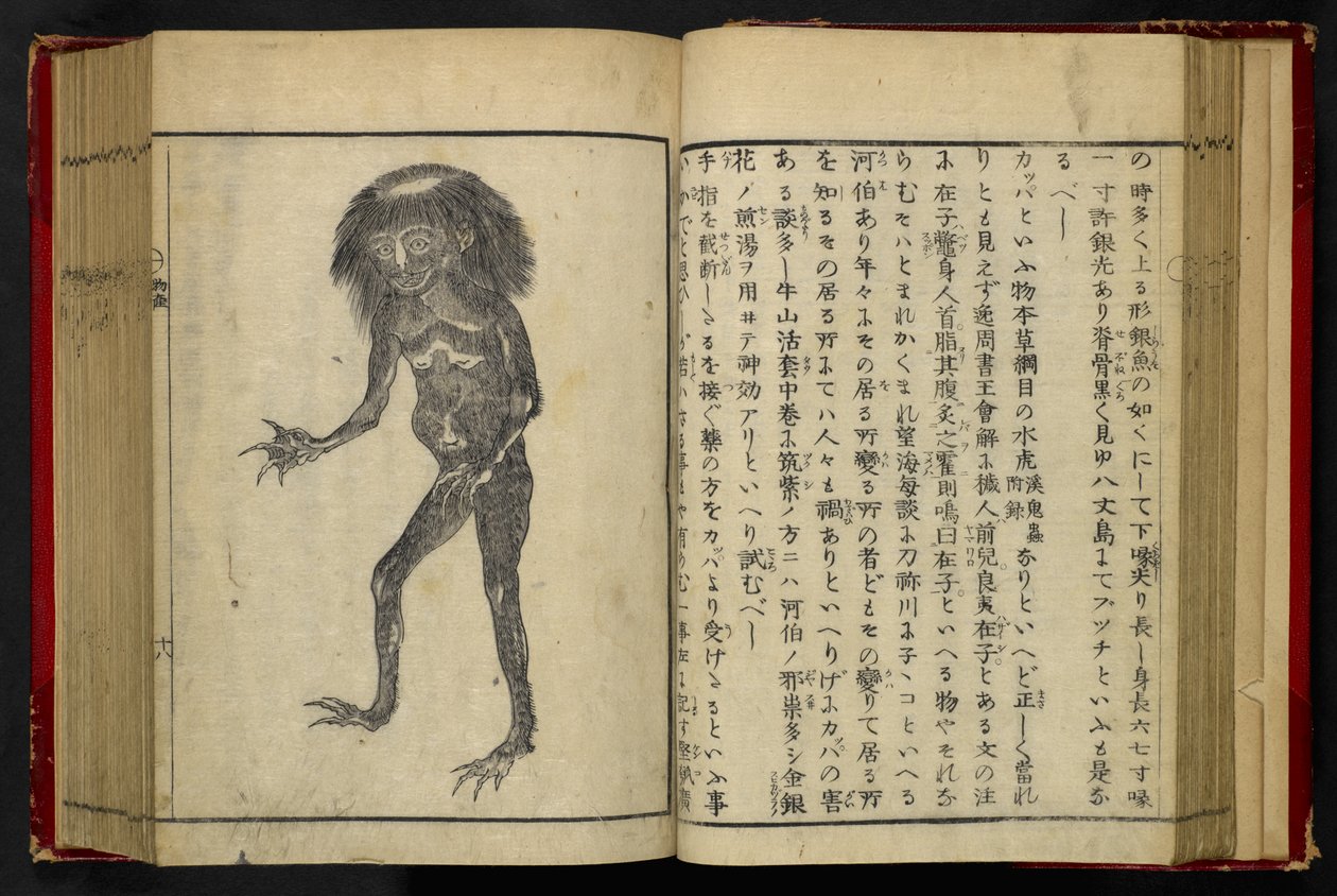 16084.d.15, f.24 A Neneko Kappa, z 