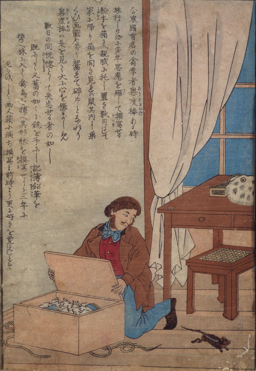 Audubon otevírá svou krabici akvarelů zničených norskými krysami, kolem roku 1872-77 od Japanese School