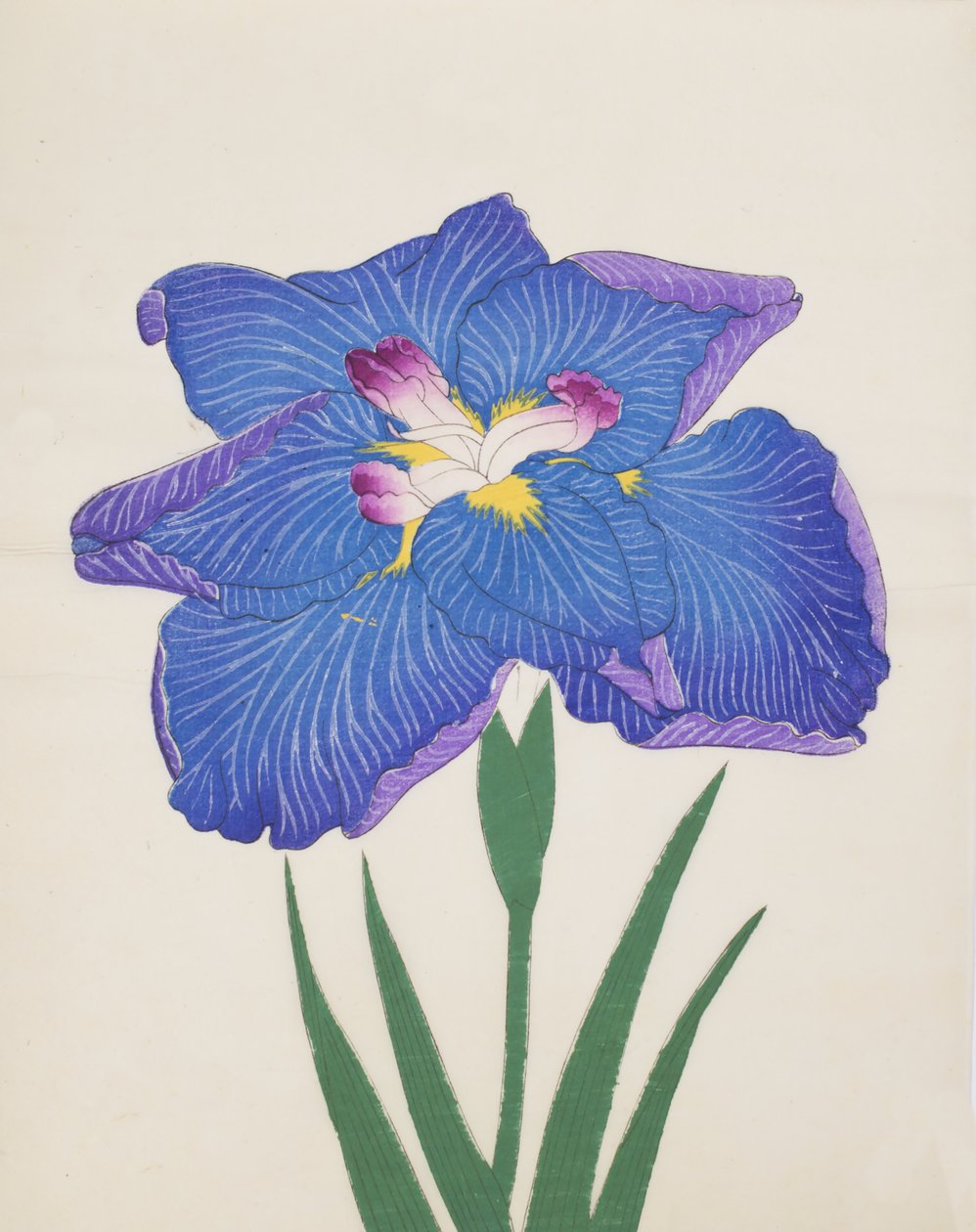 Azumabotan, č. 89, 1890 (barevný dřevotisk) od Japanese School