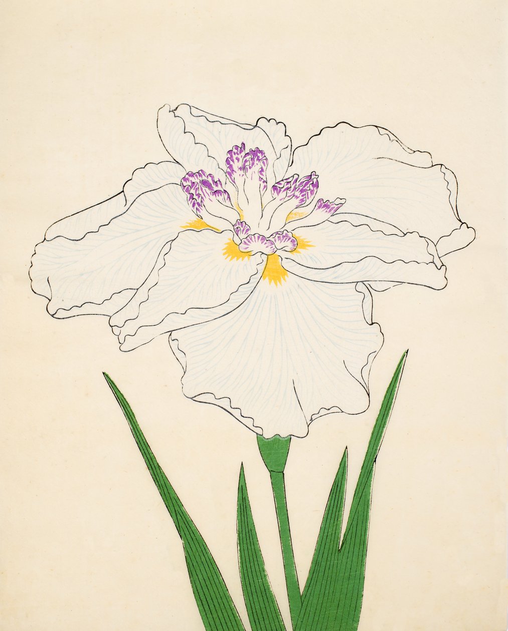 Cho-Hiyen, č. 91, 1890 (barevný dřevotisk) od Japanese School