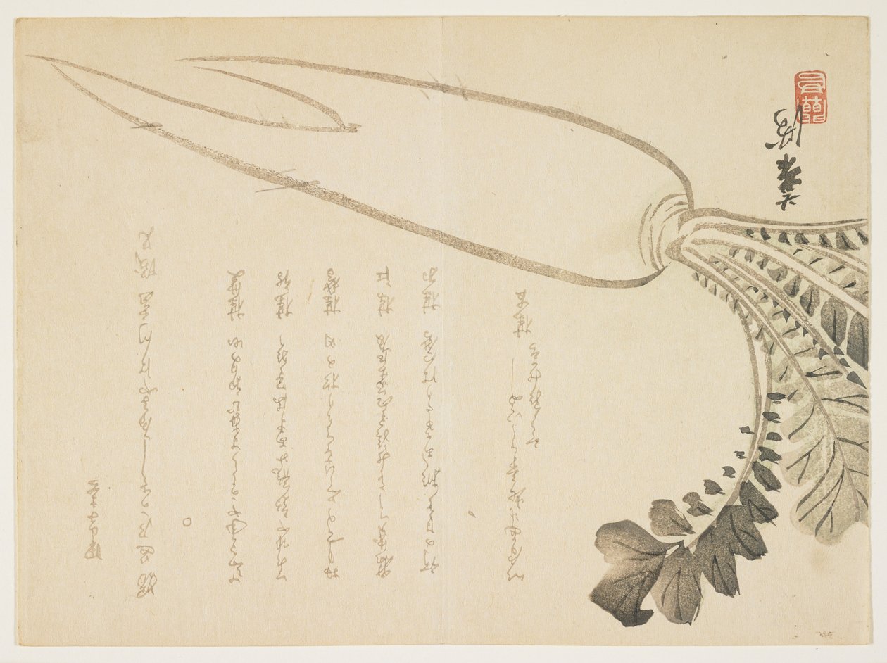 Daikon ředkev, leden 1864 (barevný dřevořez) od Japanese School
