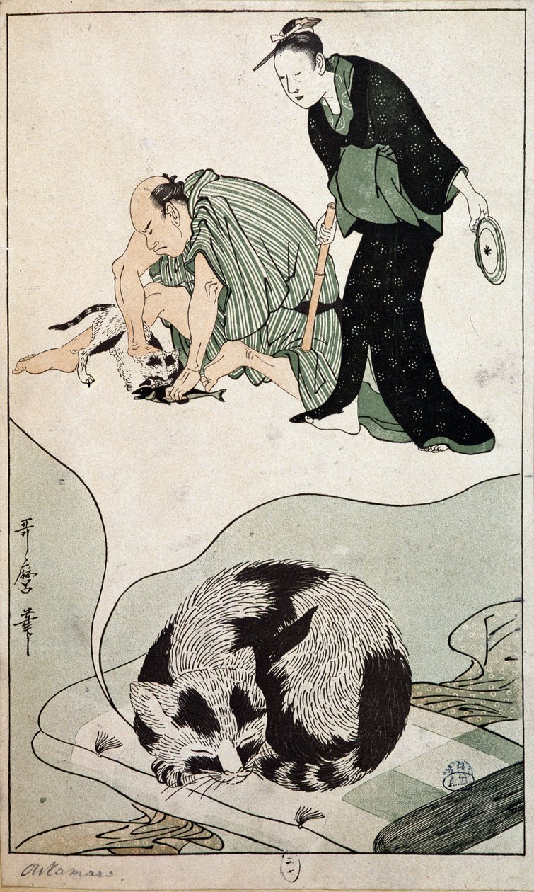 Dreaming Cat - Japonsko od Japanese School
