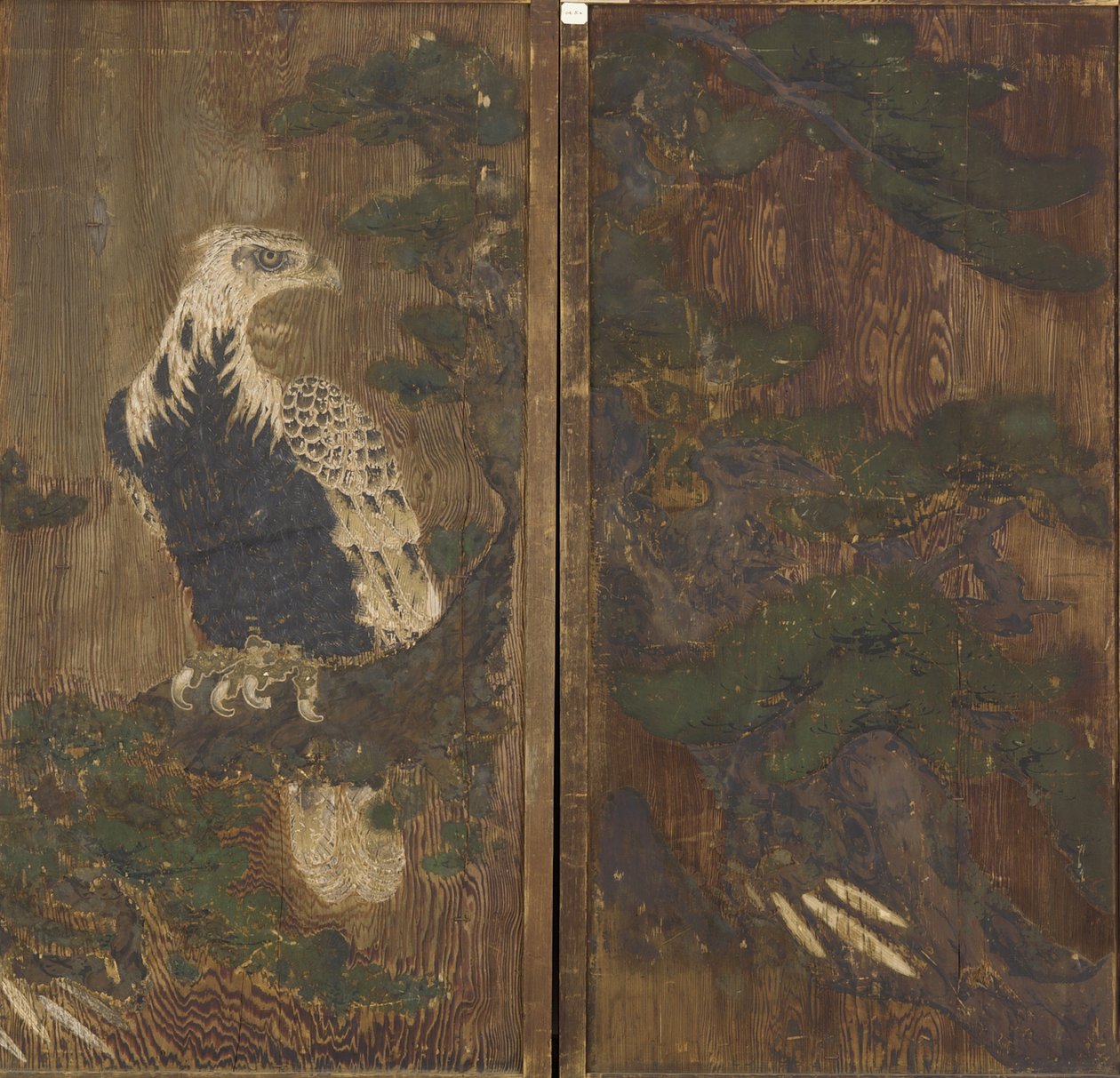 Orel v borovici, období Momoyama, možná 17. století (inkoust a barva na dřevě) od Japanese School