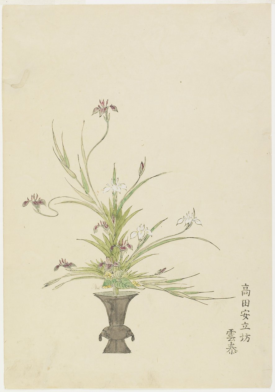 Aranžování květin od Takada Anritsub? Untai, Irises (ručně kolorovaný dřevotisk) od Japanese School