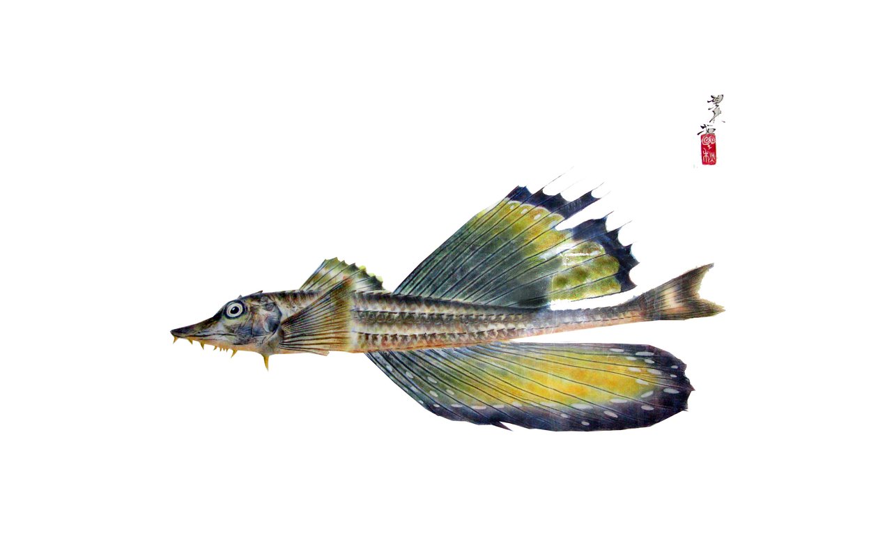 Gyotaku od Japanese School