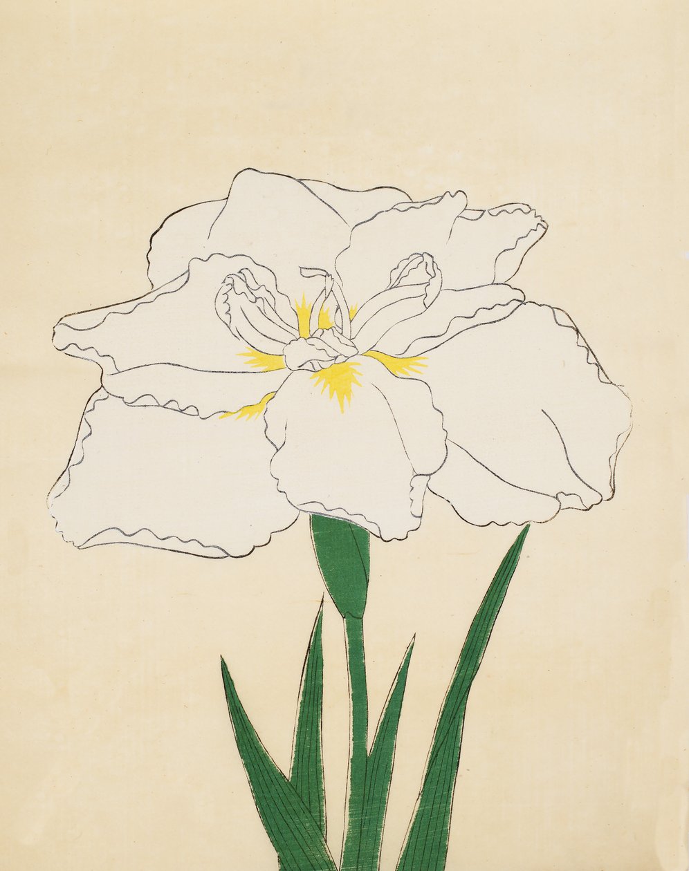 Haku-O-Den, č. 40, 1890 (barevný dřevotisk) od Japanese School