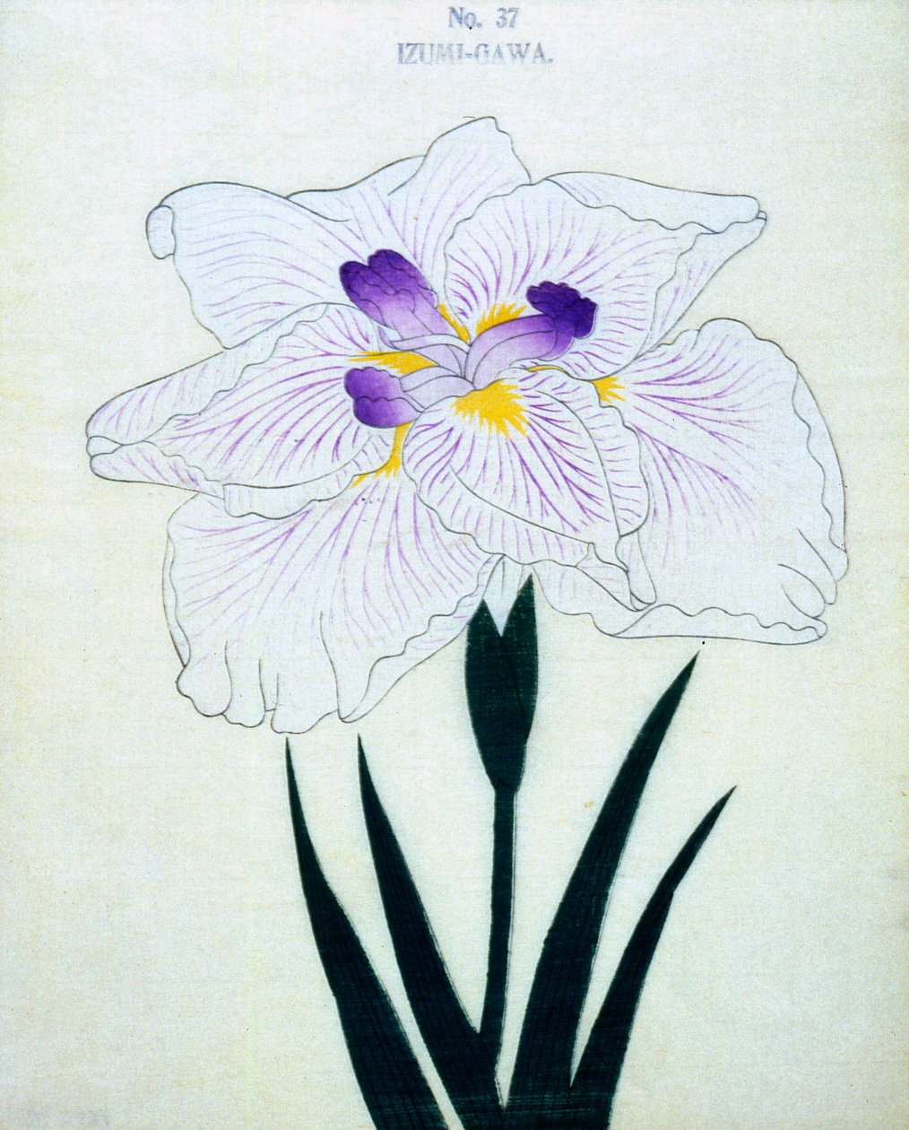 Na straně Izumi. 37, 1898 od Japanese School