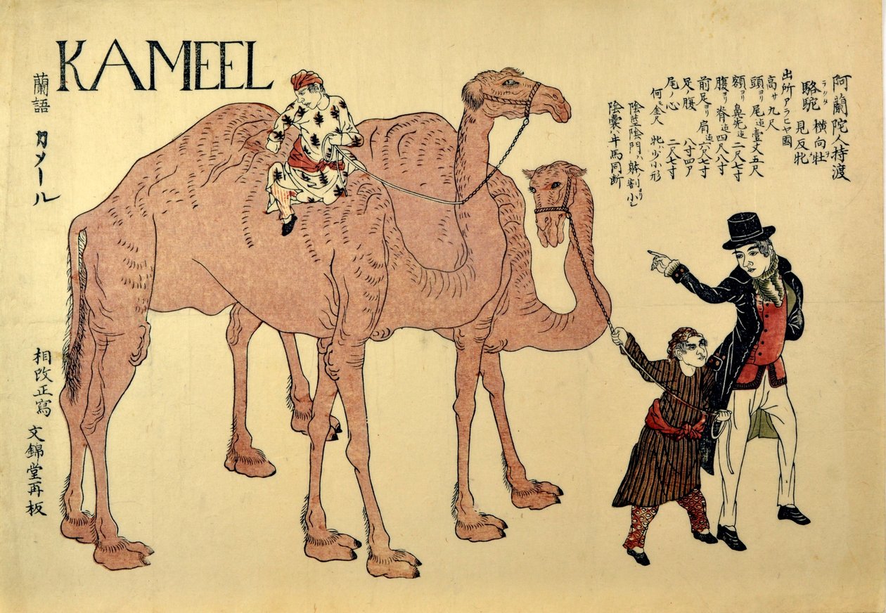 Kameel, hospoda. 1821 (barevný dřevoryt) od Japanese School