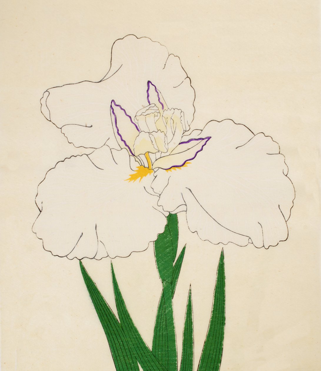 Vlasové okénko-č. 65, 1890 (Toto je DBock p Hayashi t) od Japanese School