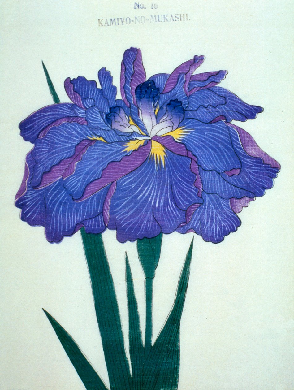 Uvidíme se. -Staré časy. 16, 1898 od Japanese School