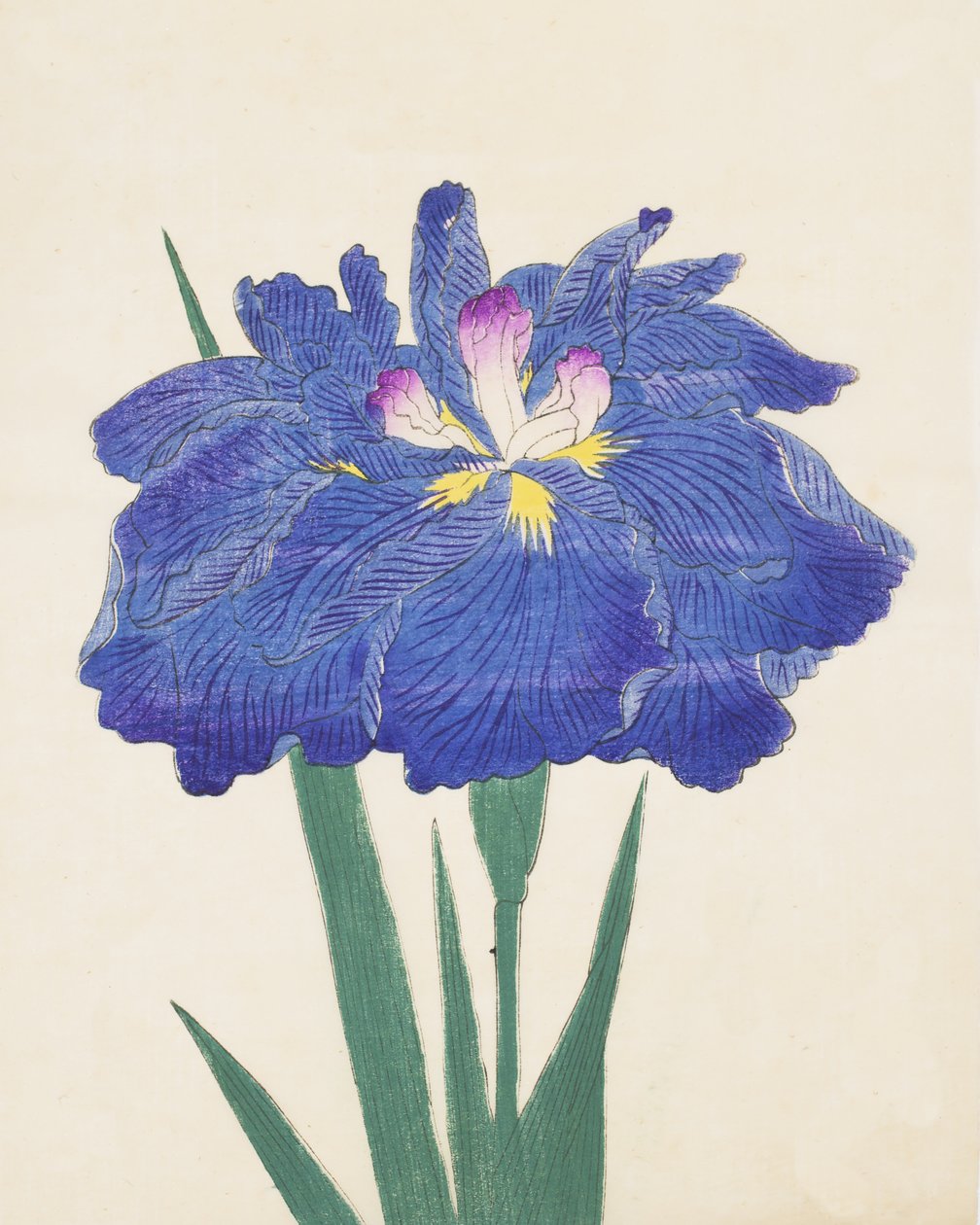 Karako-hraní. 42, 1898 od Japanese School