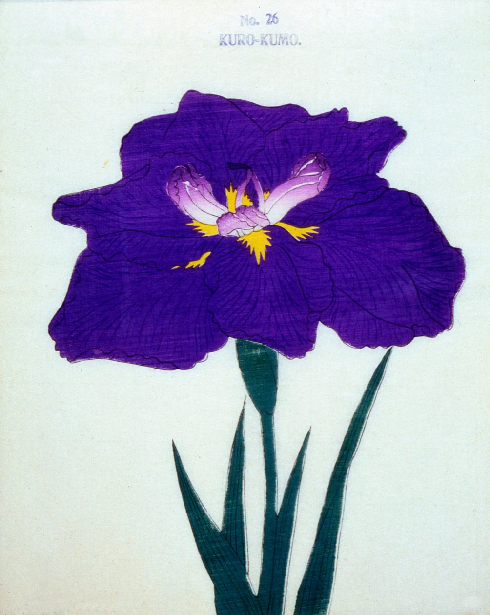 Plášť taky. 26, 1898 od Japanese School