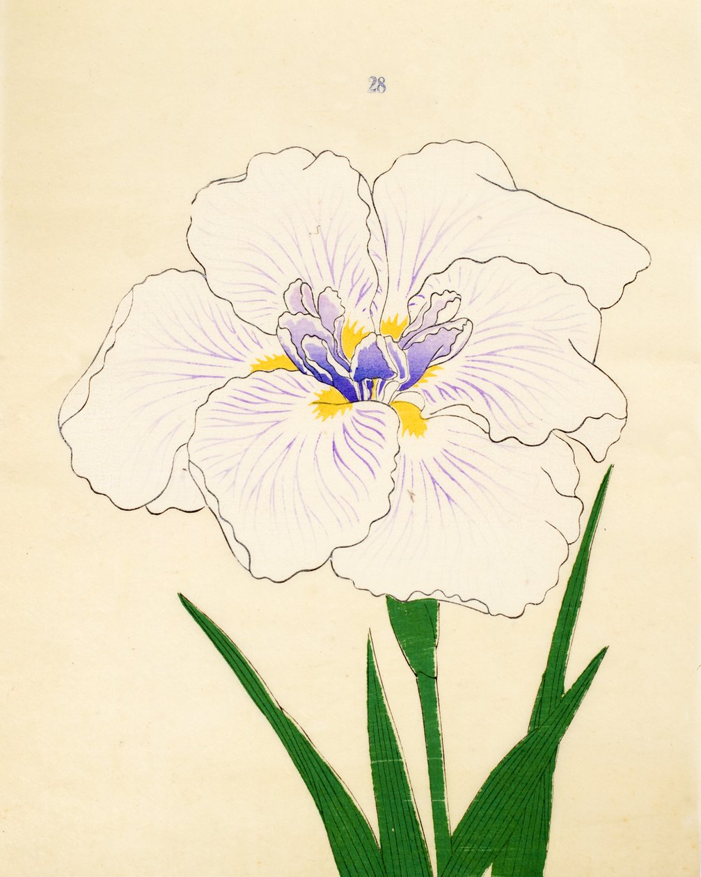 Manu-Zuru, No. 28, 1890 od Japanese School