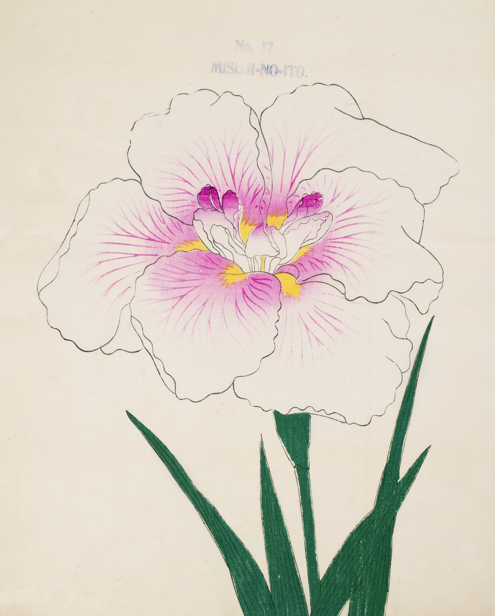 slečno Gino. -Vlákno, z. 17, 1898 od Japanese School