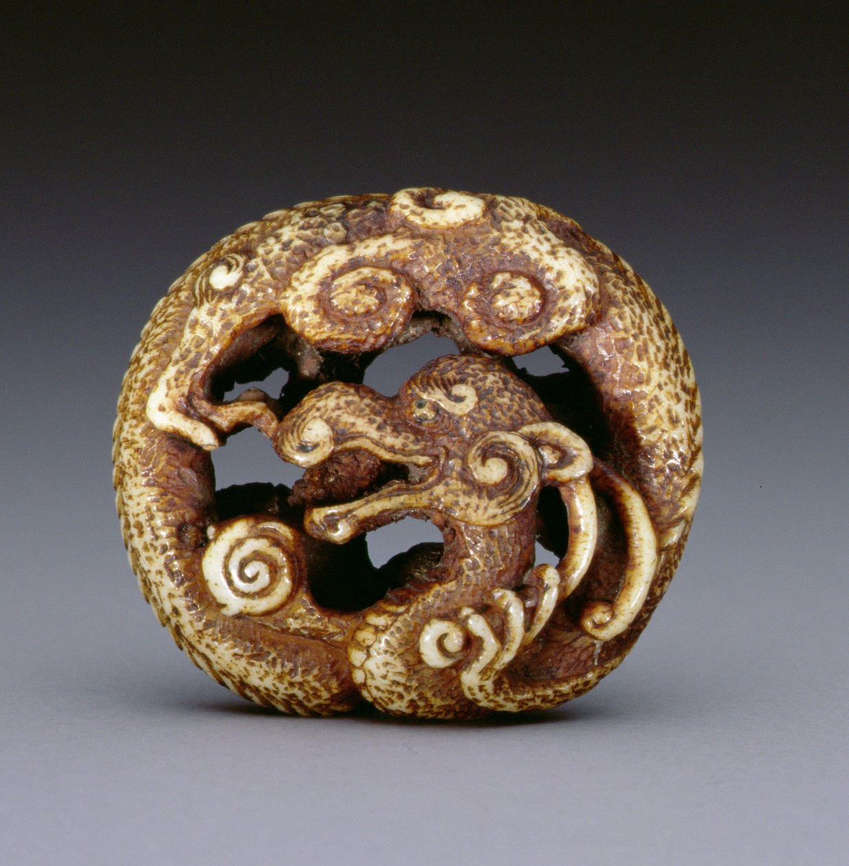 Netsuke zobrazující vodního draka, kolem 1870-80 (jelení paroh) od Japanese School