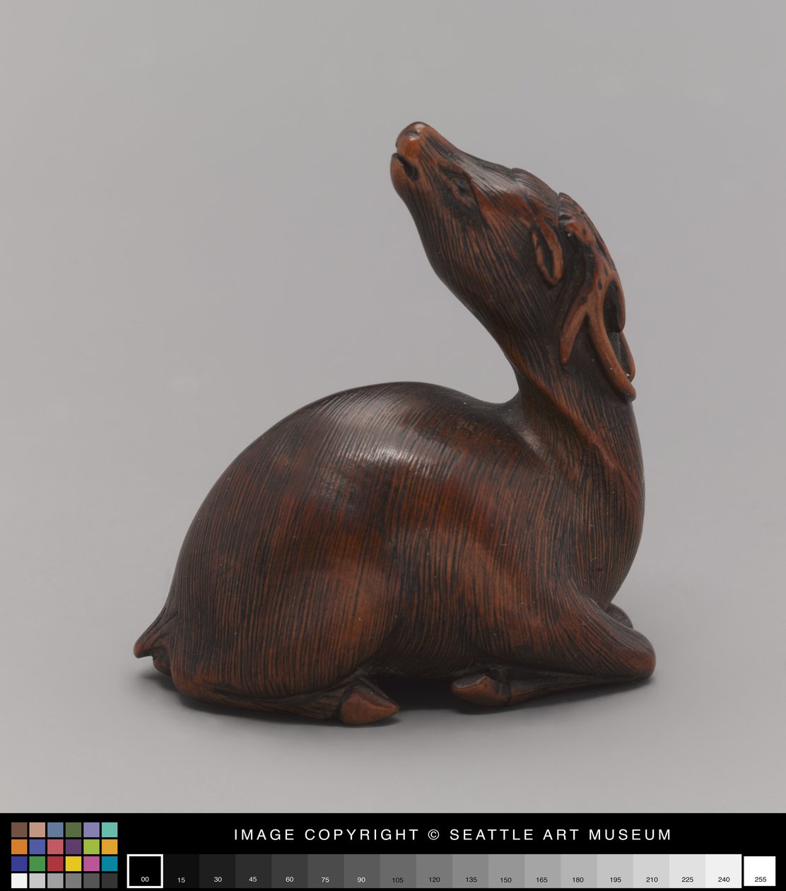 Netsuke modelovaný jako jelen, polovina 19. století (Ivory) od Japanese School