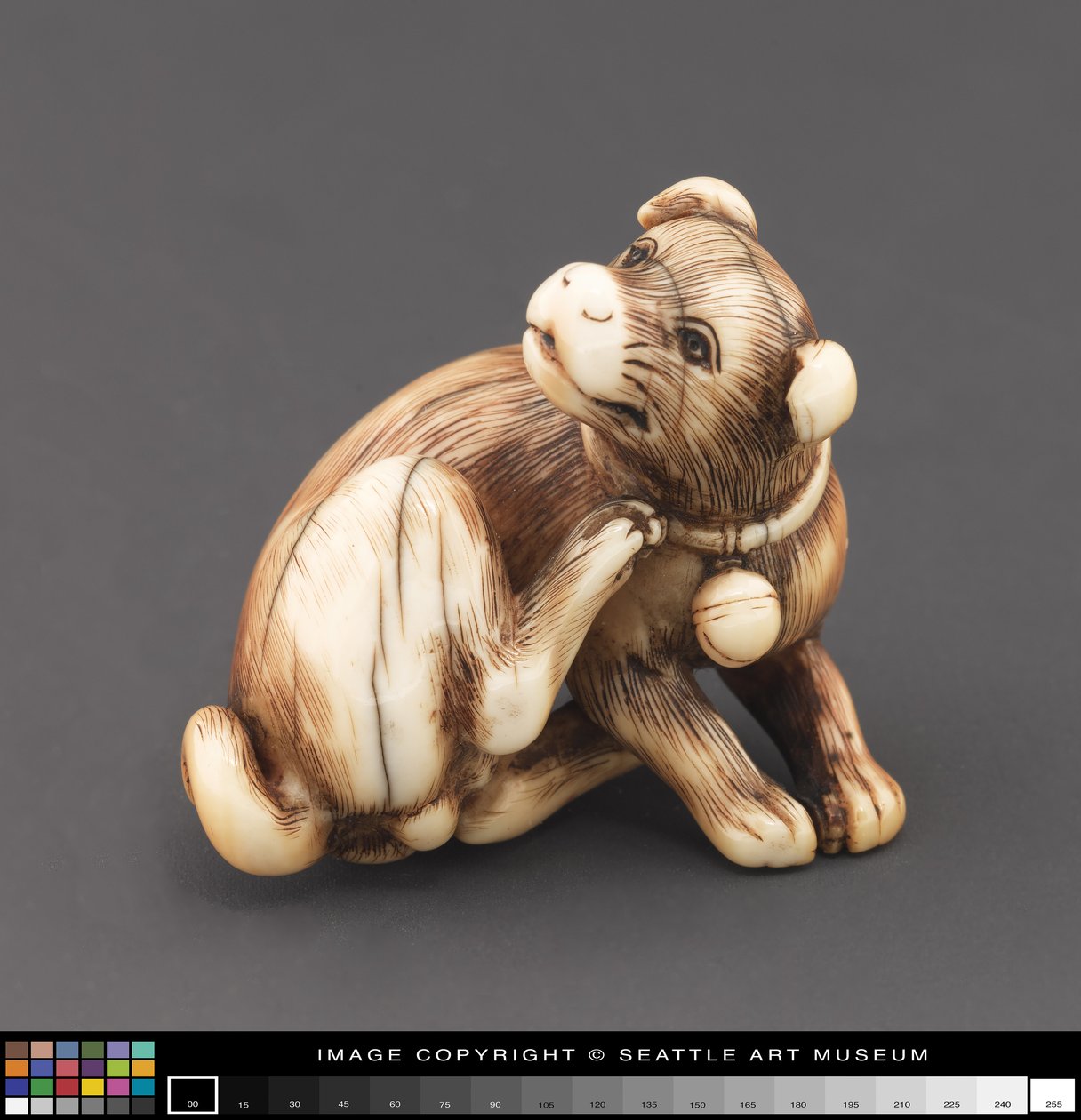 Netsuke modelovaný jako pes, který se škrábe krk od Japanese School