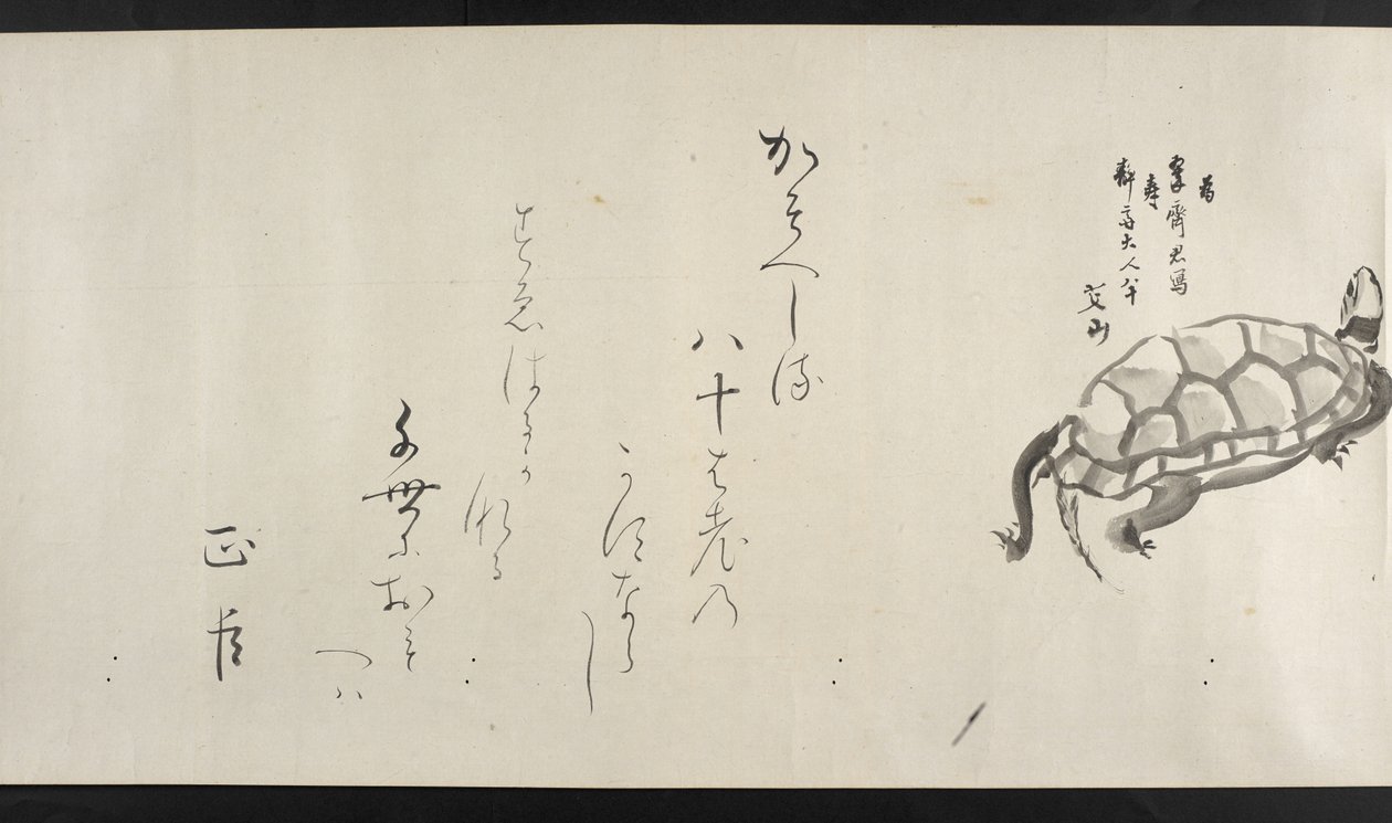 Nebo. 14872, f.29, želva, od Yoshida Seisai (handscroll) od Japanese School