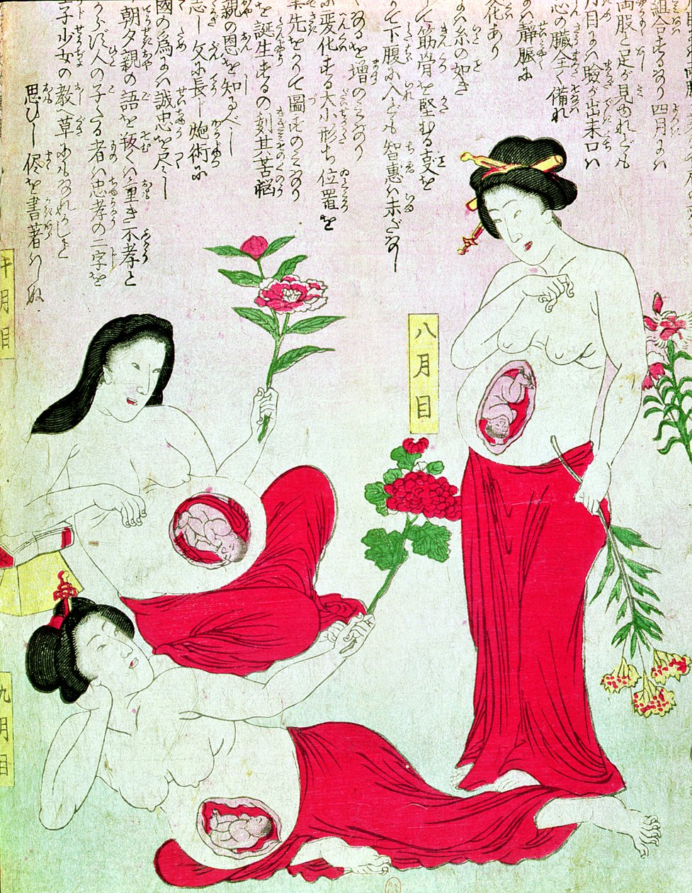 Těhotné ženy, 1881 od Japanese School
