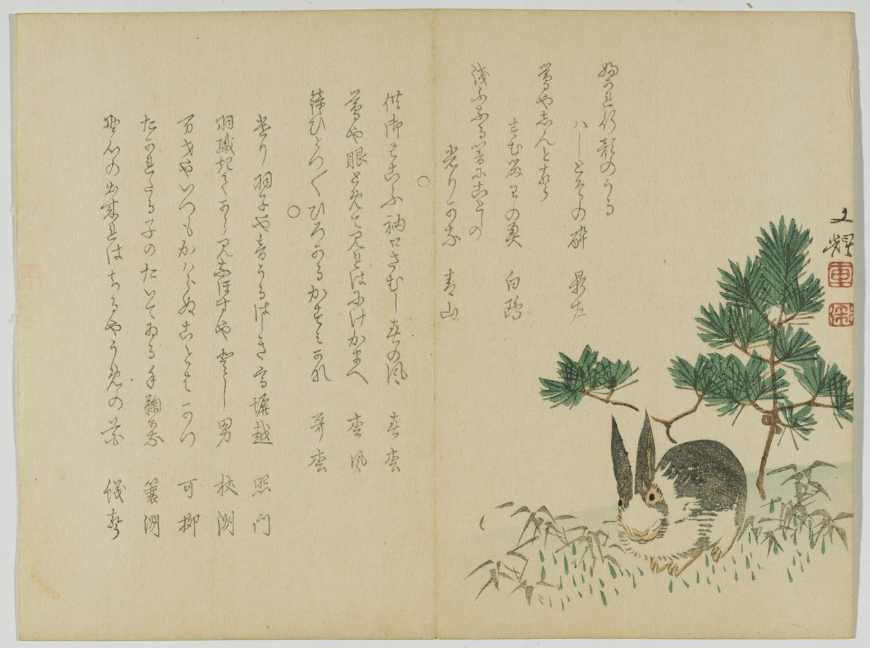 Rabbit under New Years Pine, cca 1860 (dřevotisk) od Japanese School