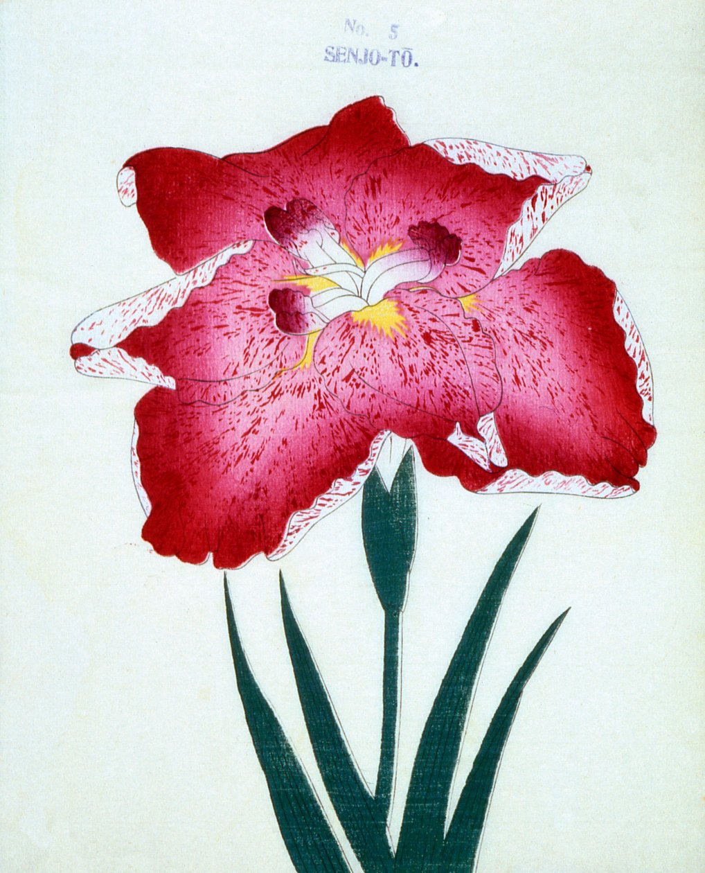 Se Senjo. 5, 1898 od Japanese School