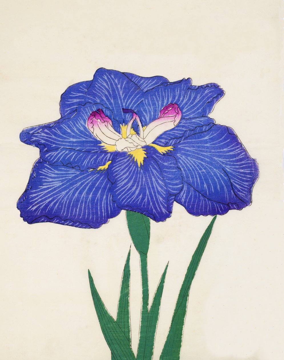 Doutníkový. -Zpětná vlna. 3, 1898 od Japanese School