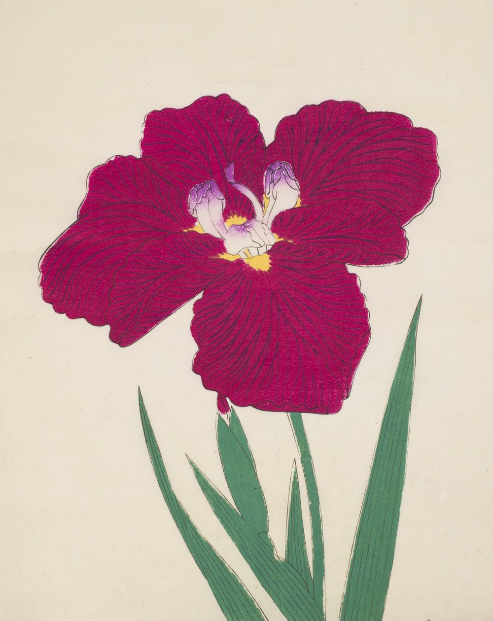 Tai-Hei-Raku, č. 18, 1890 (barevný dřevotisk) od Japanese School