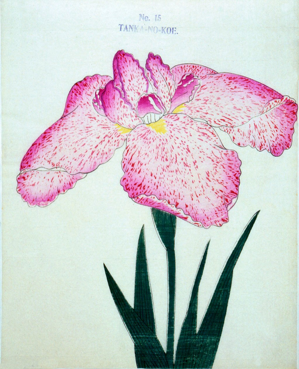 Z tankeru. -Mimo. 15, 1898 od Japanese School