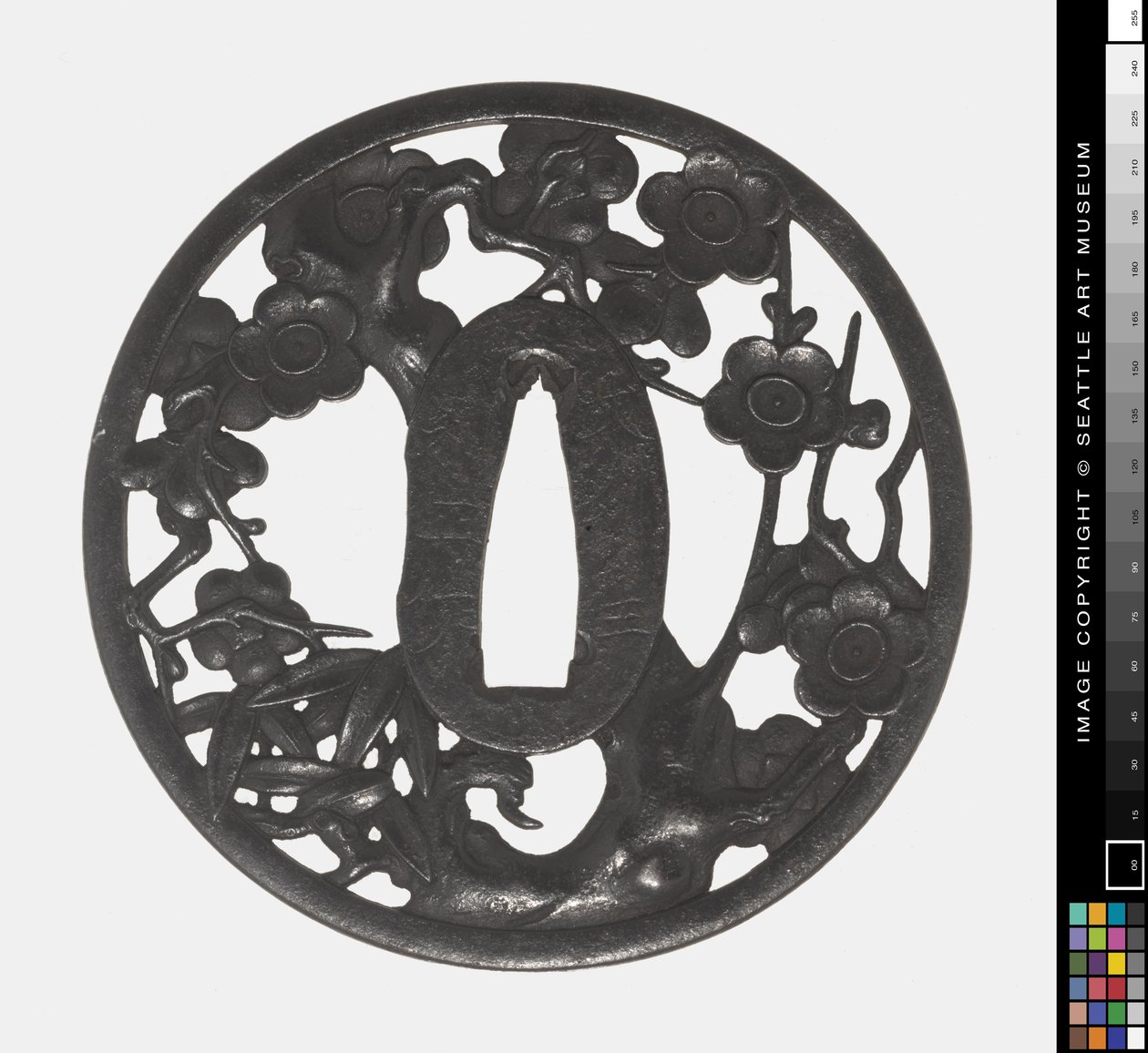 Tsuba: Větev kvetoucí třešně, raná 18. století (železo) od Japanese School