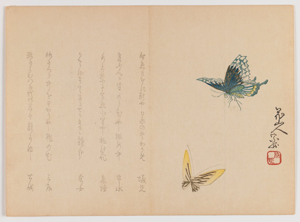 Two Butterflies, cca 1860 (dřevotisk, horizontální formát Chûban yoko-e) od Japanese School
