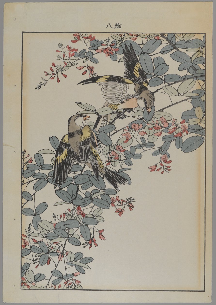 Dva ptáci s růžovými květy, období Meiji, cca 1868-1912 (barevný dřevotisk) od Japanese School