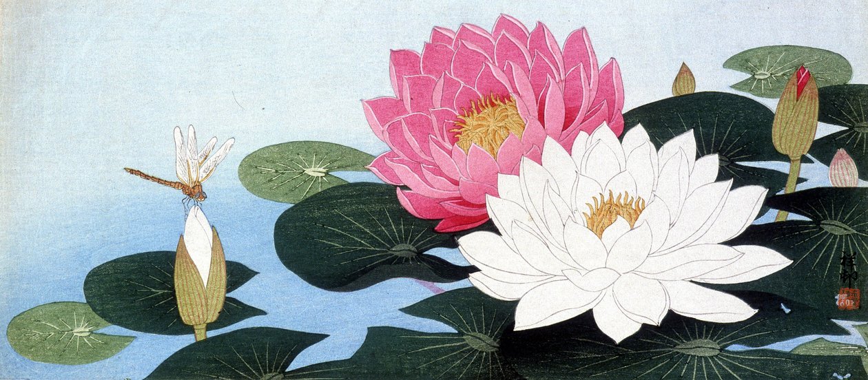 Lekníny a vážka - japonský tisk od Japanese School