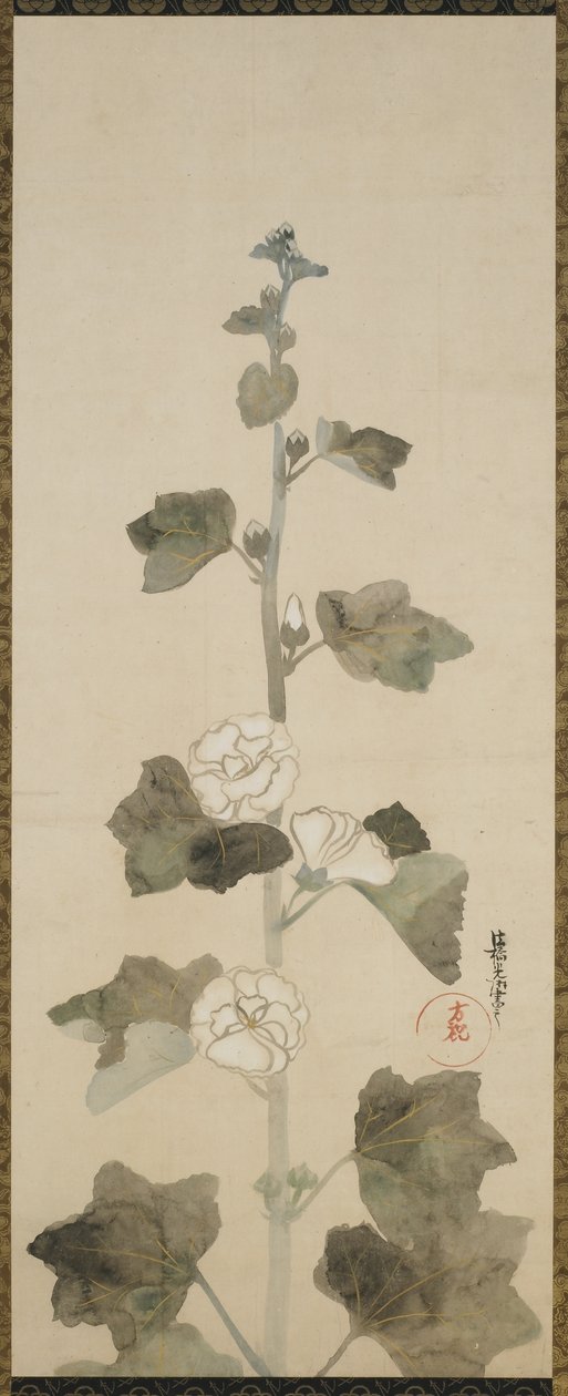 Bílé topolovky, období Edo, 1615-1868 (inkoust, odstín a zlato na papíře) od Japanese School