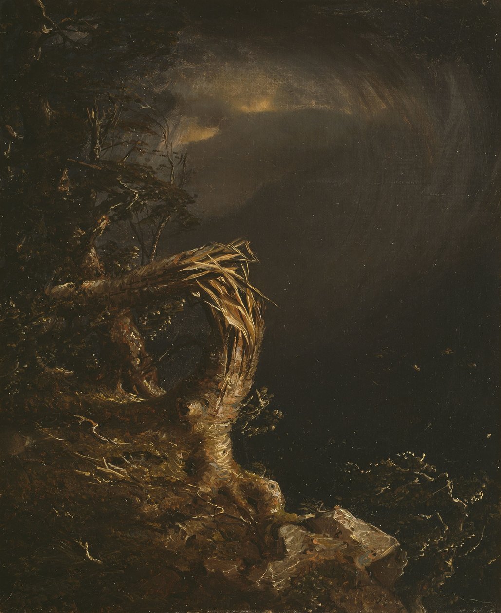 Odstřelený strom od Jasper Francis Cropsey