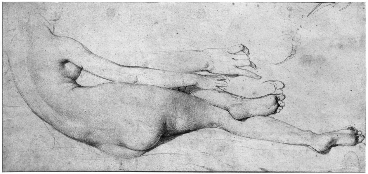 Studie pro The Grande Odalisque (grafit na papíře) (viz také 233244) od Jean Auguste Dominique Ingres