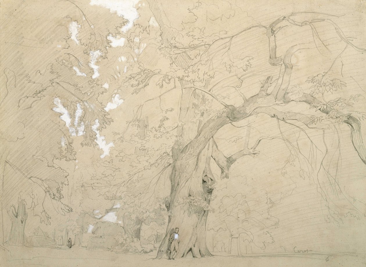 Mladý muž před velkým dubem od Jean Baptiste Camille Corot