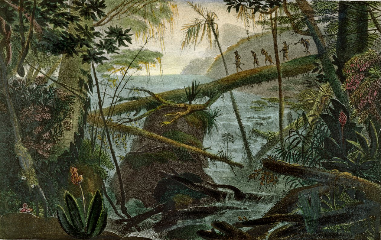 Indiáni používající kmen padlého stromu k překročení Rio Paraiba do Sul, ilustrace z „Voyage Pittoresque et Historique au Bresil“ od Jean-Baptiste Debreta (1768-1848), vydané v Paříži, 1839 (barevné od Jean Baptiste Debret